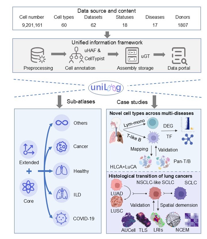 Lung Research